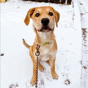 Meet your Posher, Rieley